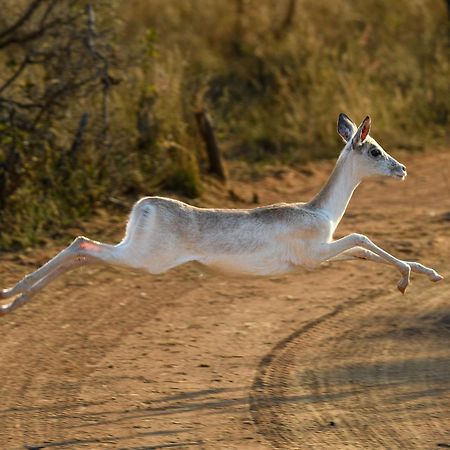 فيلا Waterberg Game Park موكوبانى المظهر الخارجي الصورة